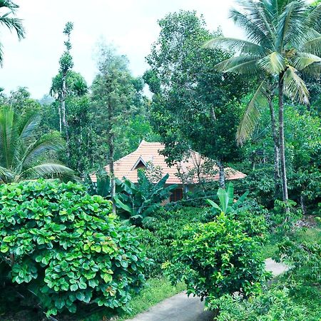 瓦亚纳德希马德里度假小屋住宿加早餐旅馆 外观 照片