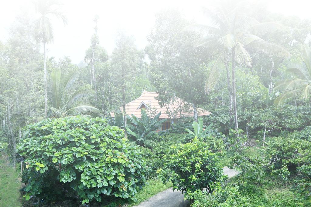 瓦亚纳德希马德里度假小屋住宿加早餐旅馆 外观 照片