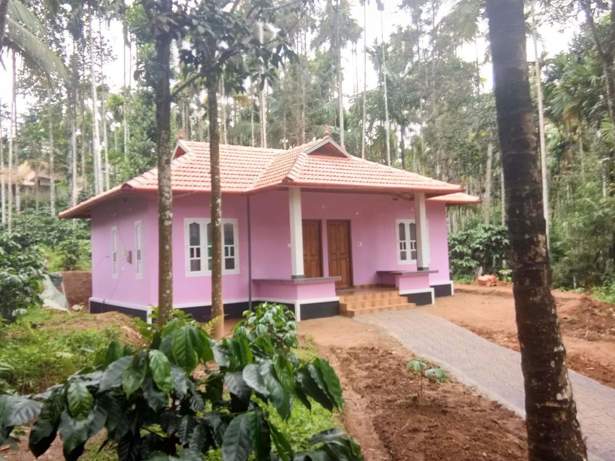 瓦亚纳德希马德里度假小屋住宿加早餐旅馆 外观 照片