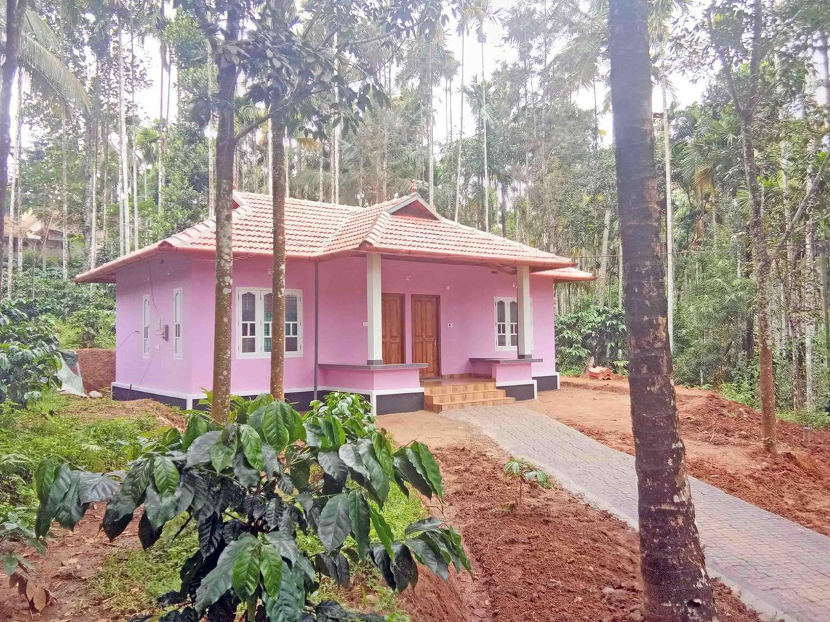 瓦亚纳德希马德里度假小屋住宿加早餐旅馆 外观 照片