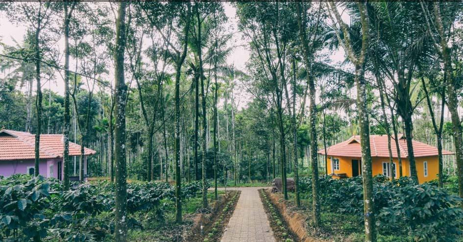 瓦亚纳德希马德里度假小屋住宿加早餐旅馆 外观 照片