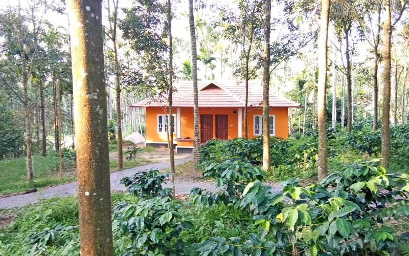 瓦亚纳德希马德里度假小屋住宿加早餐旅馆 外观 照片