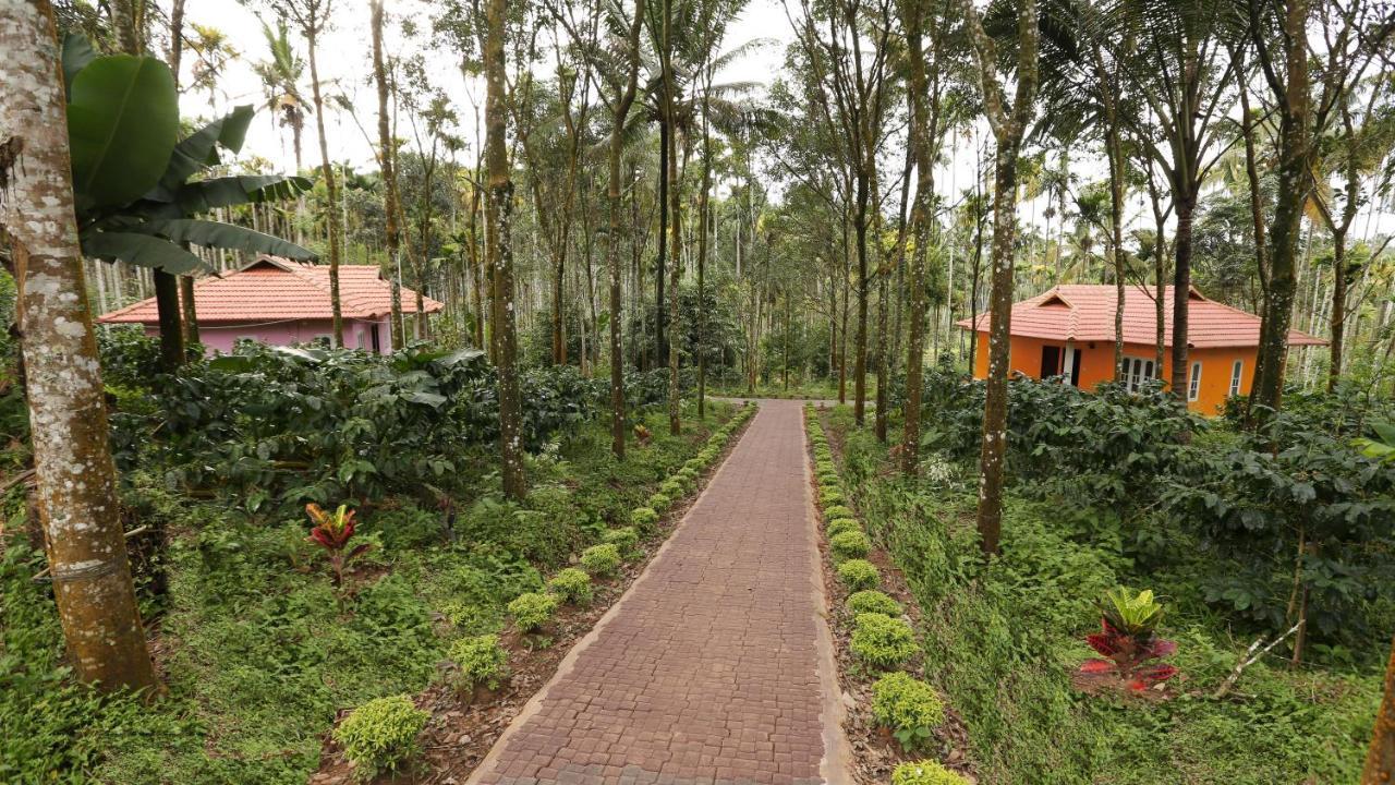 瓦亚纳德希马德里度假小屋住宿加早餐旅馆 外观 照片