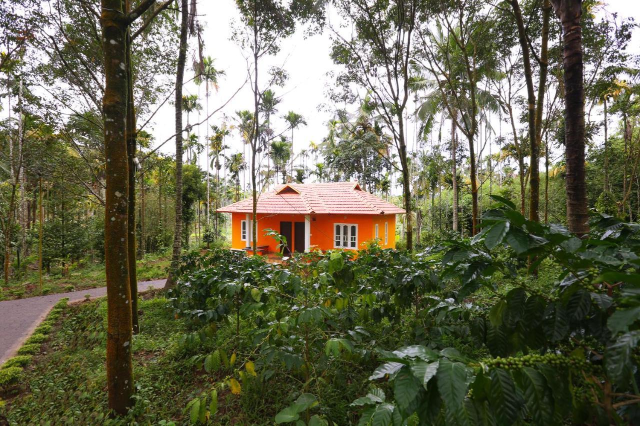 瓦亚纳德希马德里度假小屋住宿加早餐旅馆 外观 照片